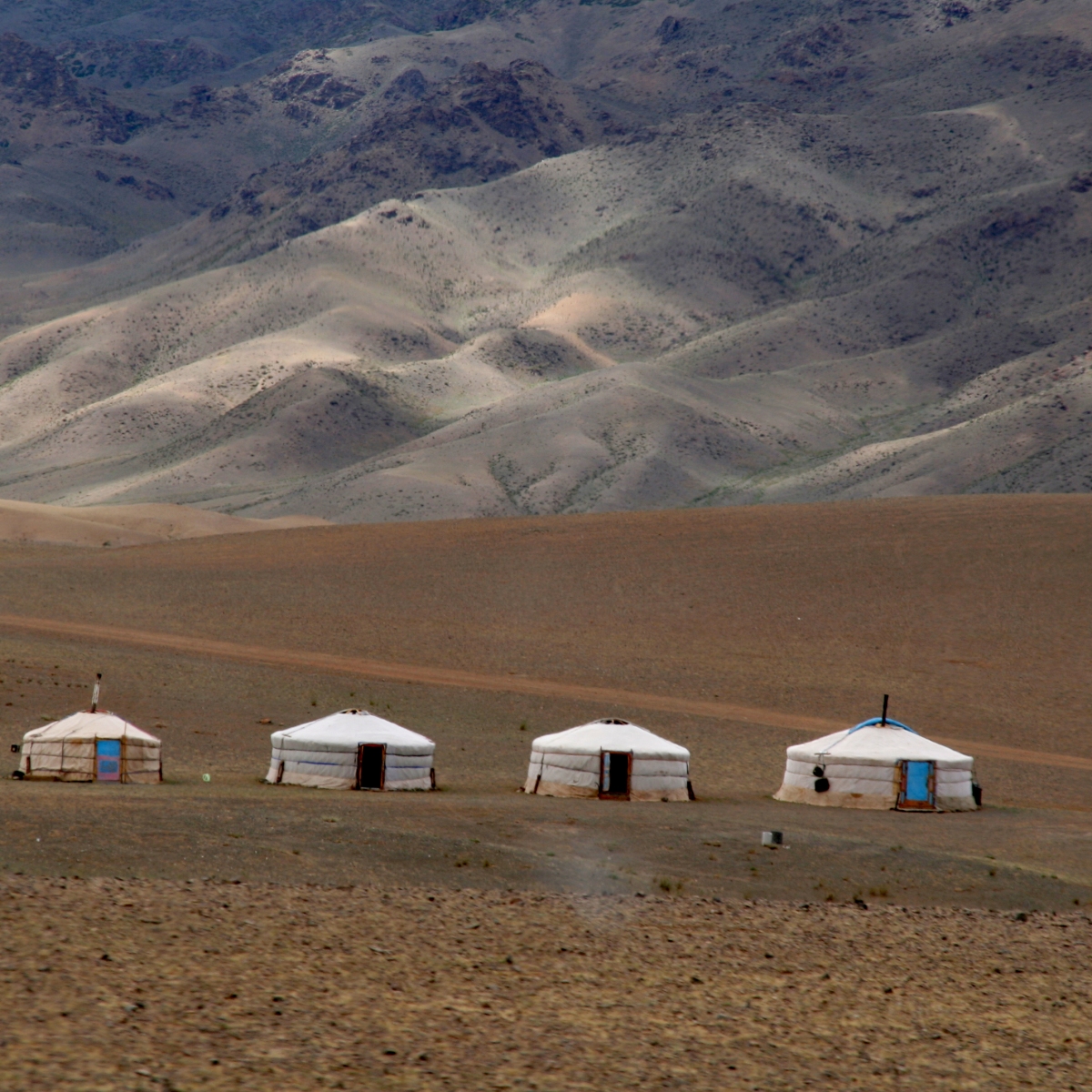 Mongolie – De Gobi à Hovsgol